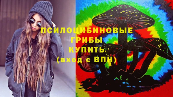 2c-b Абдулино