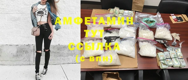 гидра Протвино